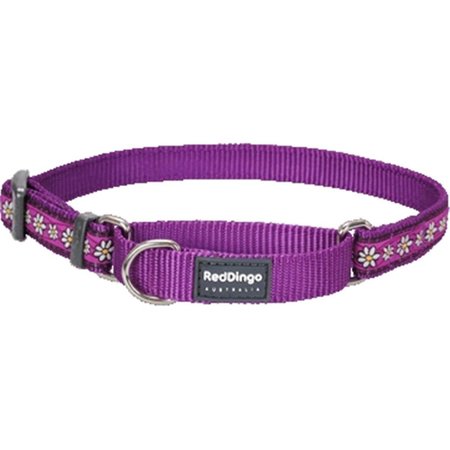 RED DINGO Martingale Dog Collar Design Daisy Chain Purple, Large RE437155